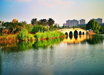 IMG_2320-01