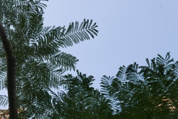 67A7503D-4161-4FE8-A2A3-B3067628EAA3/L0/001