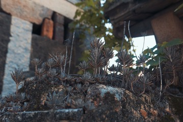 1289E8F7-4AAC-4978-A798-0E076EE83634/L0/001