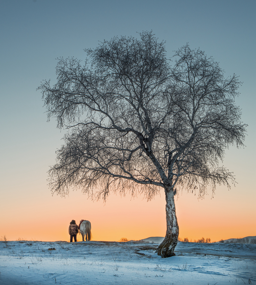 坝上冬摄,一幕牵马人的场景