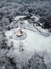 DJI_0593