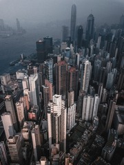 闷森林