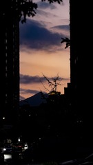 022DB737-9054-422E-A4BA-C29D0D88D5A3/L0/001
