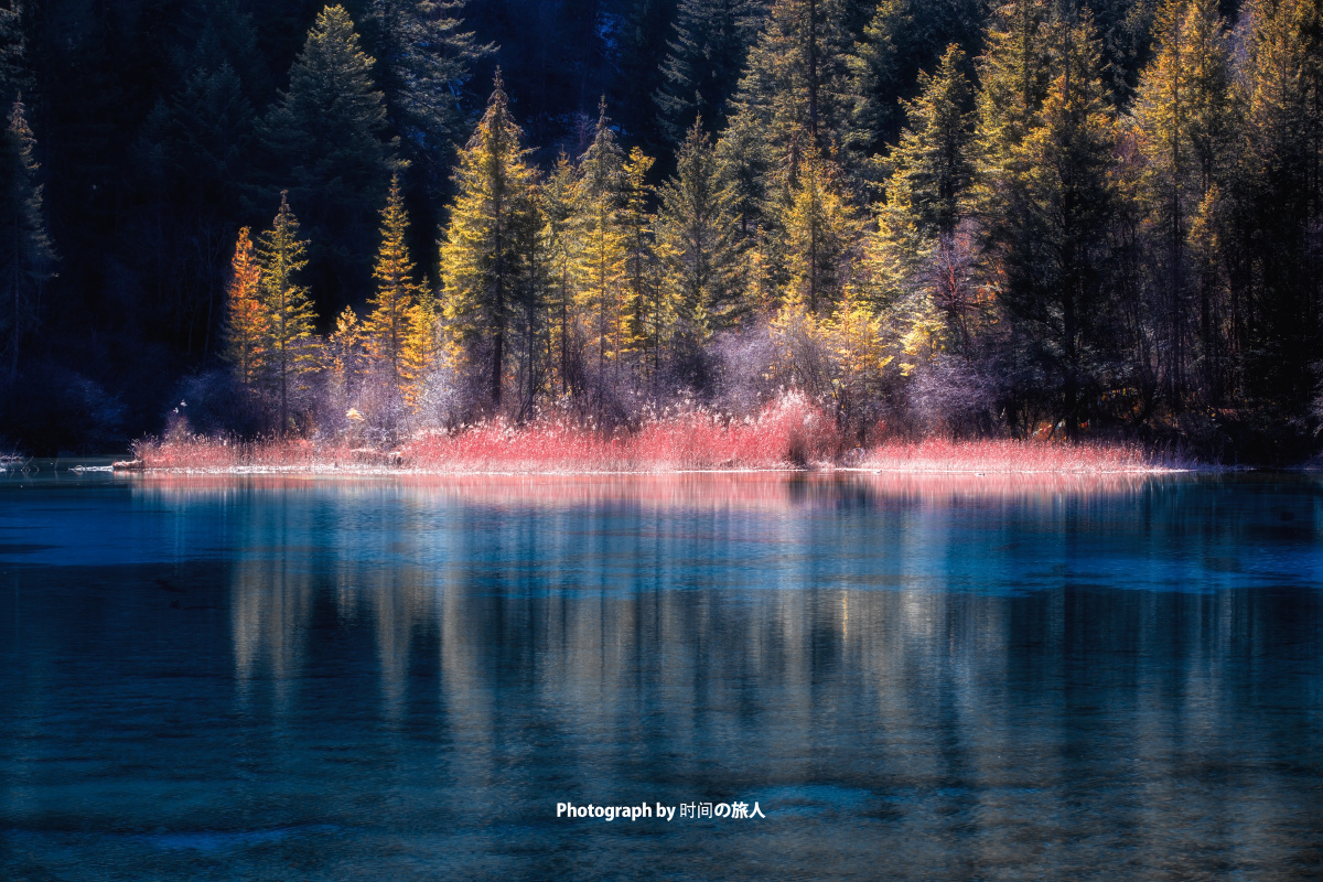 苇 - 风光, 色彩, 佳能, 旅行, 四川, 唯美, 九寨沟,