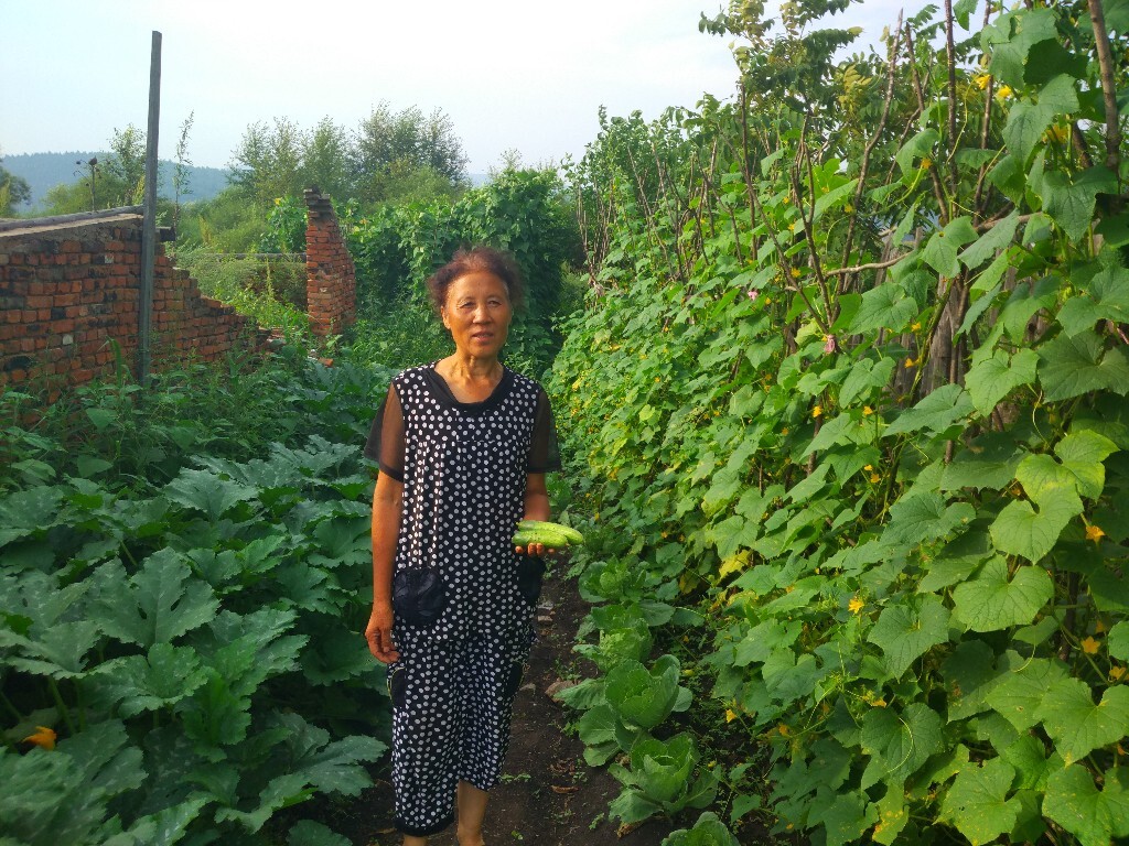 林城伊春市，（农家田园阿姨）摄影素材有版权