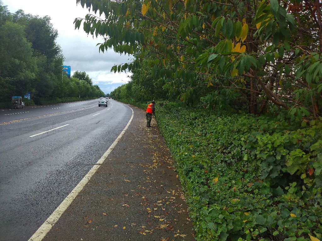 秋雨后马路上环卫工人，您辛苦。