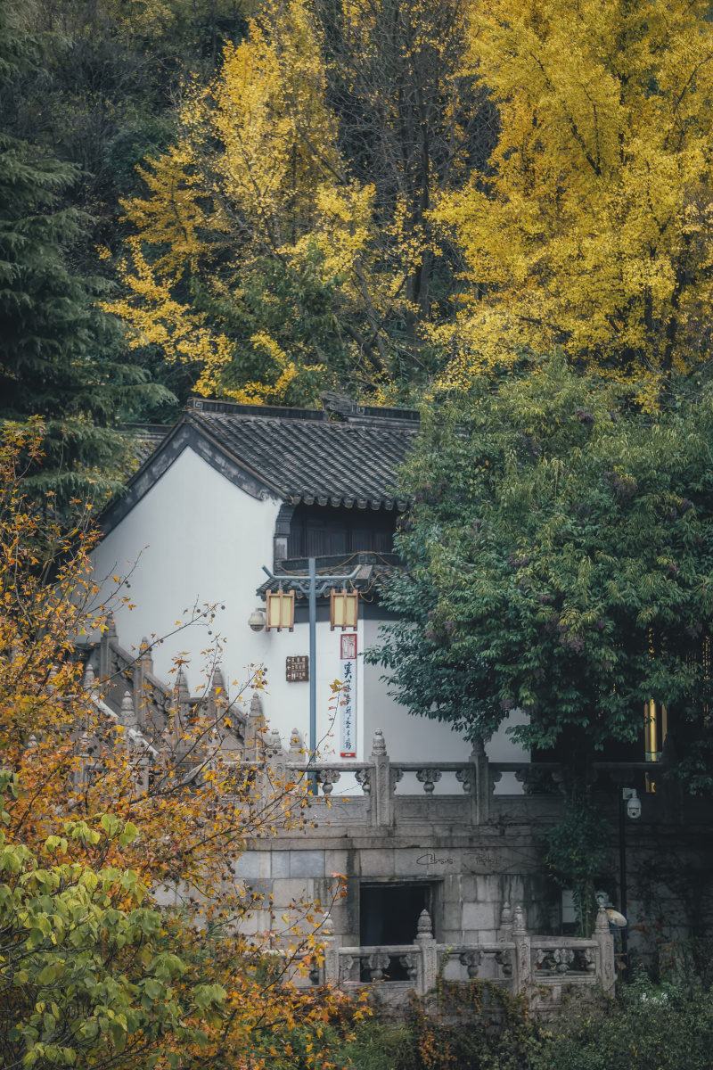 常熟虞山派的初冬色