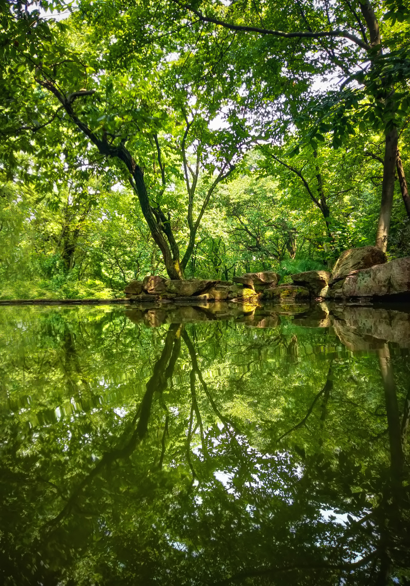 丛林秘境 - 长腿叔叔945