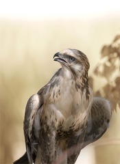 8P2G7185