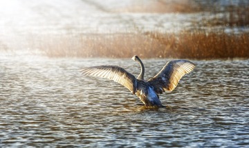 沐浴阳光