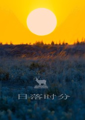 _W6I9331