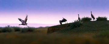 _W6I0376