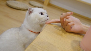 282834