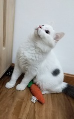 963876