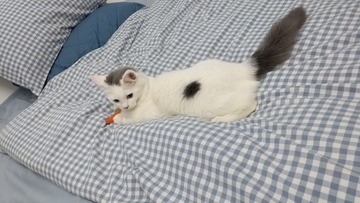 964230