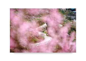 开县行 (14)