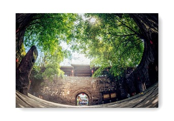 再游涞滩 (4)