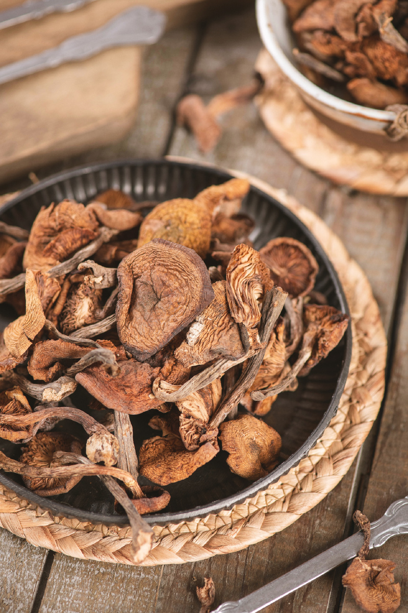 东北野生榛蘑电商用图