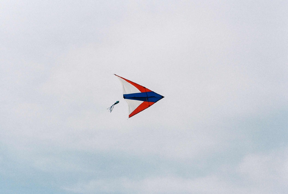 嗯? 一只风筝呢,她说