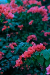 71DB7120-E15B-4F87-A5F9-A1846B38540D/L0/001