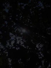 146386