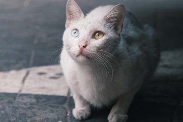 001