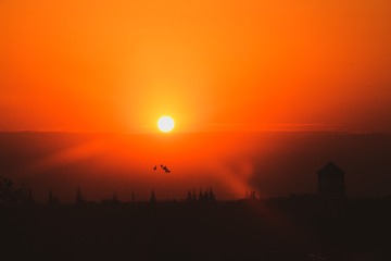 2EDA3139-B3AE-46AE-9275-4C54F1B3C2DE/L0/001