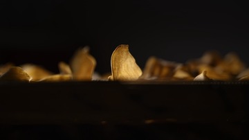 498548