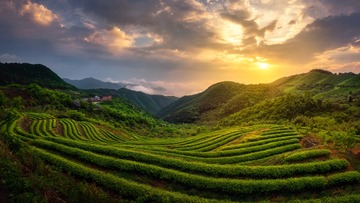 未标题1234