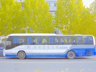 2942226