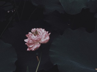 2918573