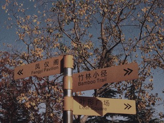 2935546