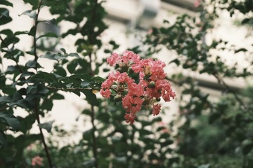 2919C3C4-622C-4885-8314-D0B4B3C395DD/L0/001