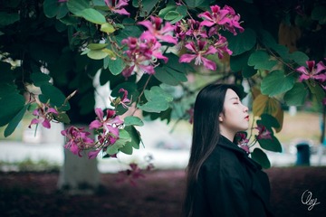 DSC05829-编辑