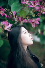DSC05911-编辑