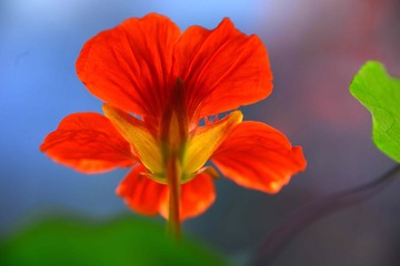 39AD4309-646A-4074-A7C4-F18DE1A19FAB/L0/001