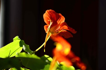 1E0569B2-5132-4DF2-83F3-CE7891124FAD/L0/001