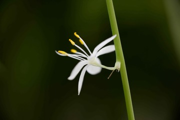 0A70875C-EBC9-4EC2-9518-BD9E1ED32B9F/L0/001