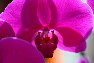 2F34735C-C493-416A-9F38-1CB60A1BD40D/L0/001