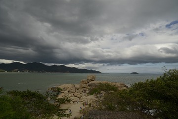 _DSC2516