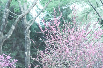 1401841