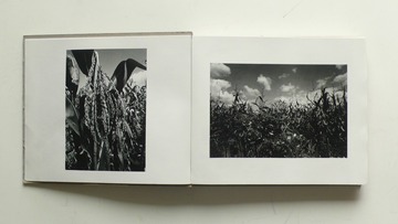 P1160880