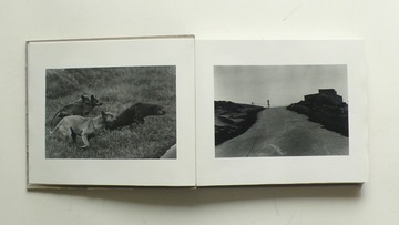 P1160882