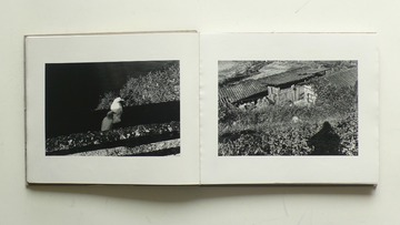 P1160896