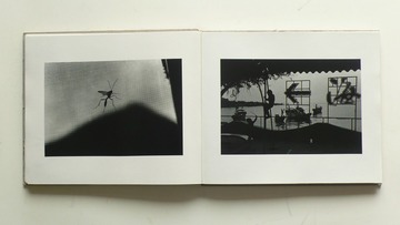 P1160903