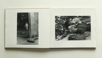 P1160904