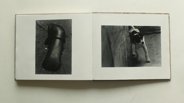 P1160921