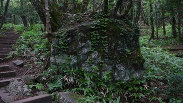 P1140642