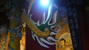 P1140807