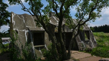 P1150032